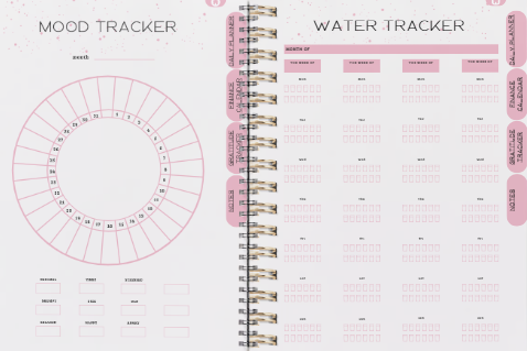 MONEY & MINDSET: A STRIPPERS PERSONAL & PROFESSIONAL PLANNING JOURNAL -PERSONAL USE ONLY