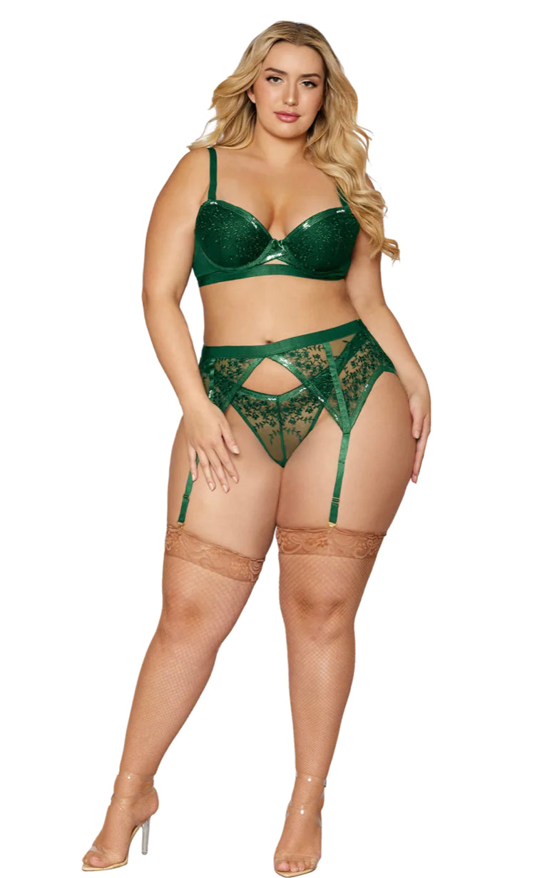 Plus Size Sequined Floral Embroidered Mesh 3 Piece Set